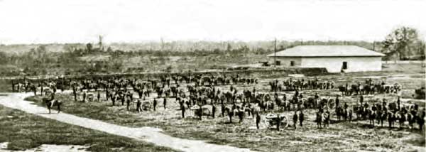 The First Indiana Heavy Artillery at Baton Rouge